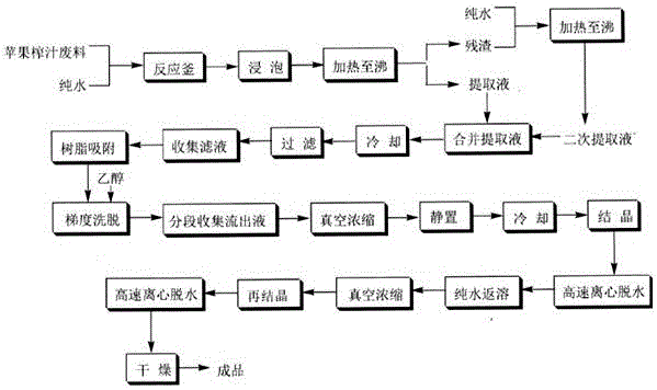 Extraction process of high-purity phloridzin