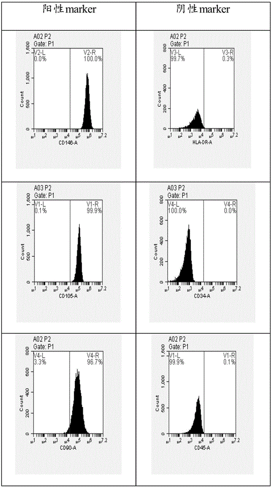 Composition, inducer containing composition and induction method