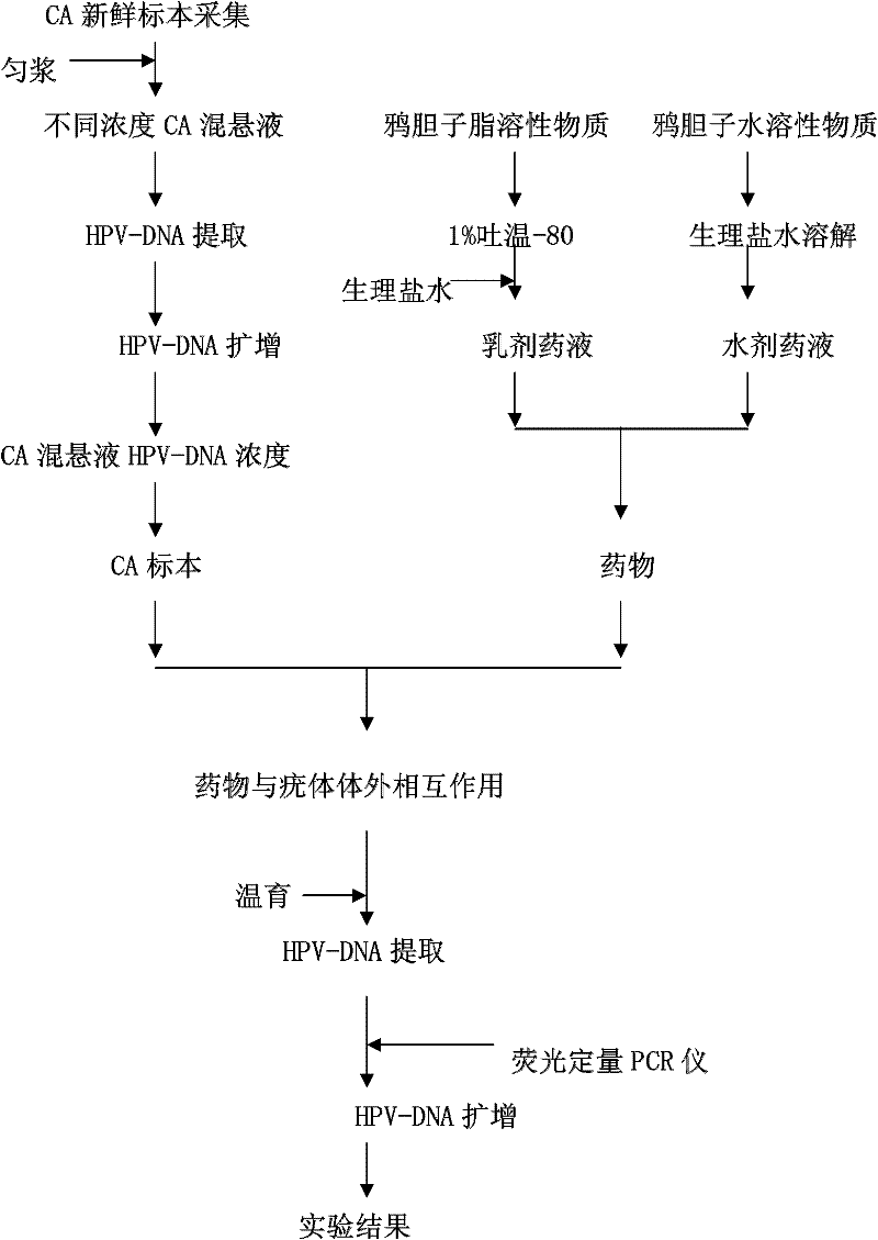 Application of linoleic acid in preparing human papillomavirus (HPV) resisting medicament