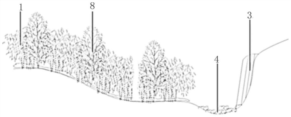 Construction method of moso bamboo forest health care system