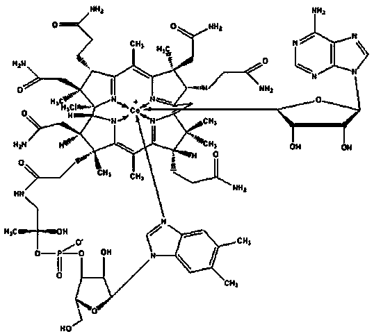 A kind of adenosylcobalamin freeze-dried preparation composition and preparation method thereof