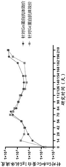 A kind of monoclonal antibody a38 against Rift Valley fever virus and its application