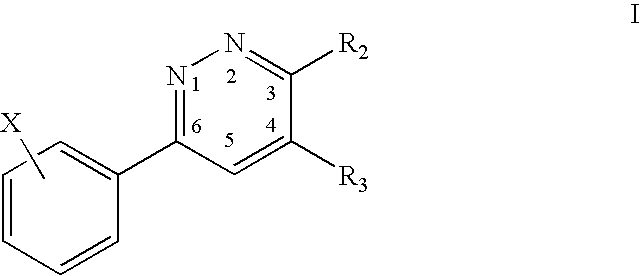 3,4,6-Substituted pyridazines for treating neuropathic pain and associated syndromes