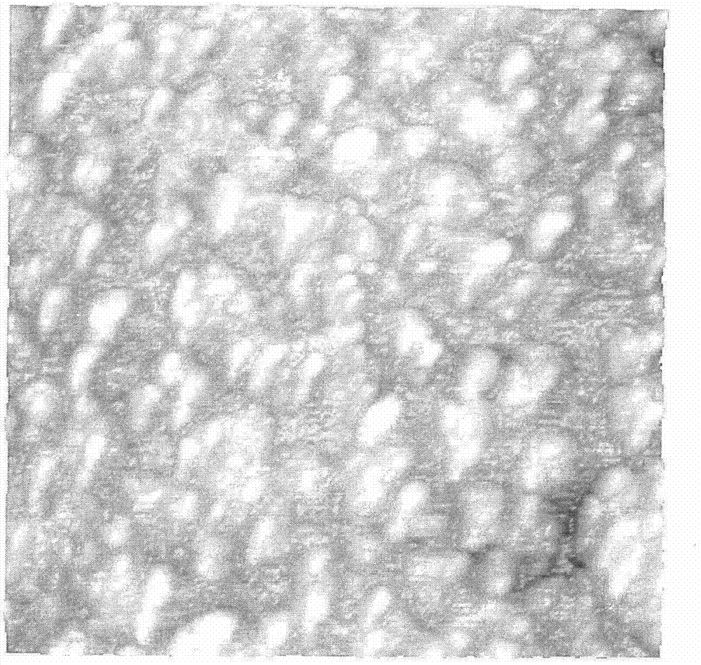 Machining method for electromagnetic shielding woven fabric with core-shell alloy structure