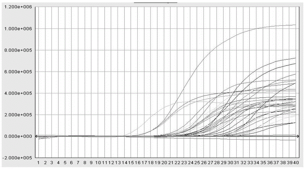 Method, oligonucleotide and kit for detecting high-risk HPV (human papilloma viruses)