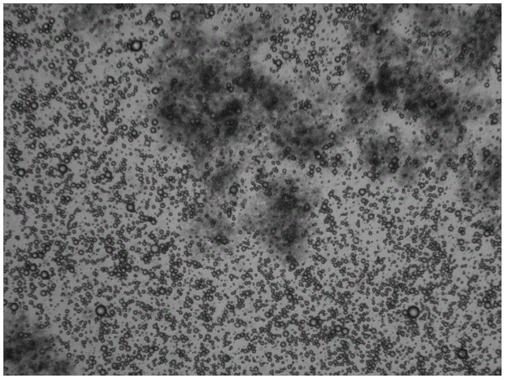 A mask material with self-antibacterial ability and its preparation method and application