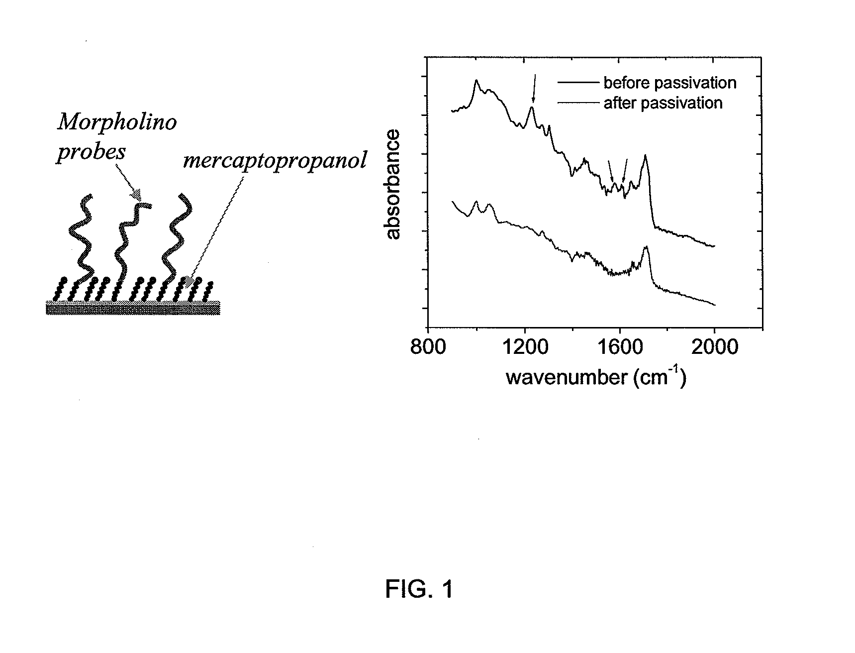 Surface-based nucleic acid assays employing morpholinos