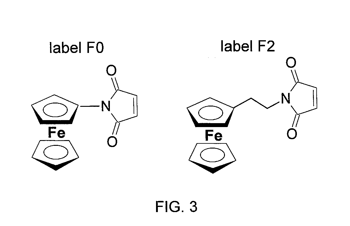 Surface-based nucleic acid assays employing morpholinos