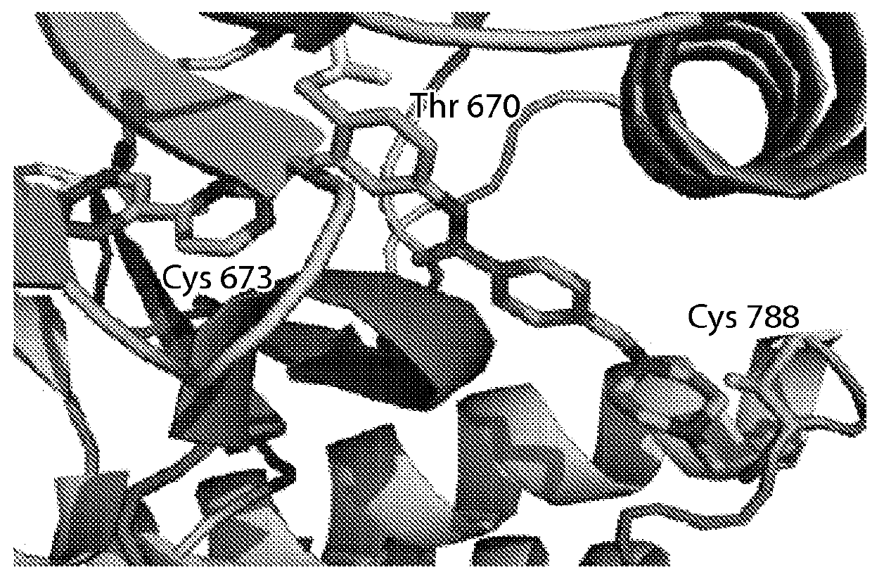 Inhibitors of c-Jun-<i>N</i>-terminal kinase (JNK)