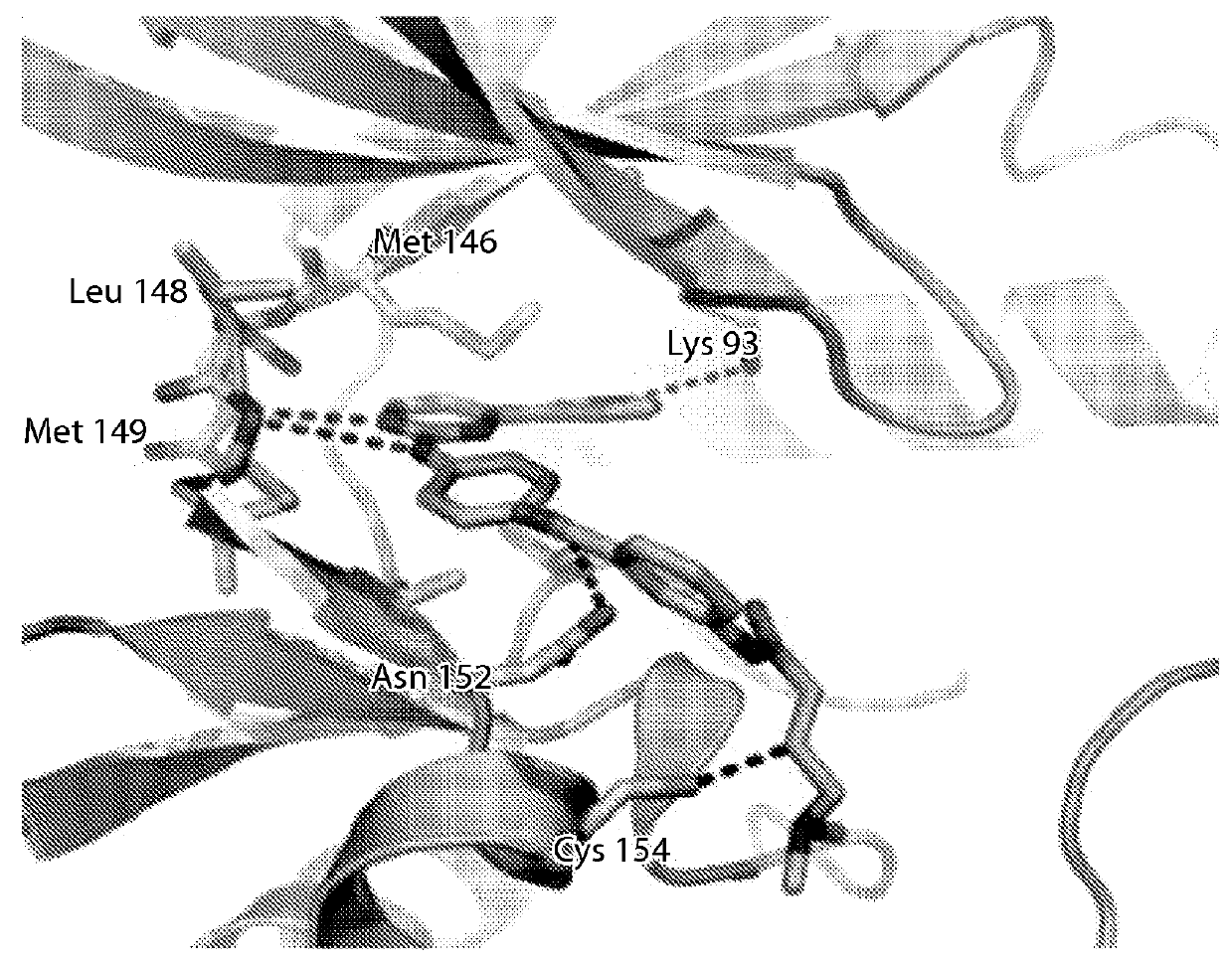 Inhibitors of c-Jun-<i>N</i>-terminal kinase (JNK)