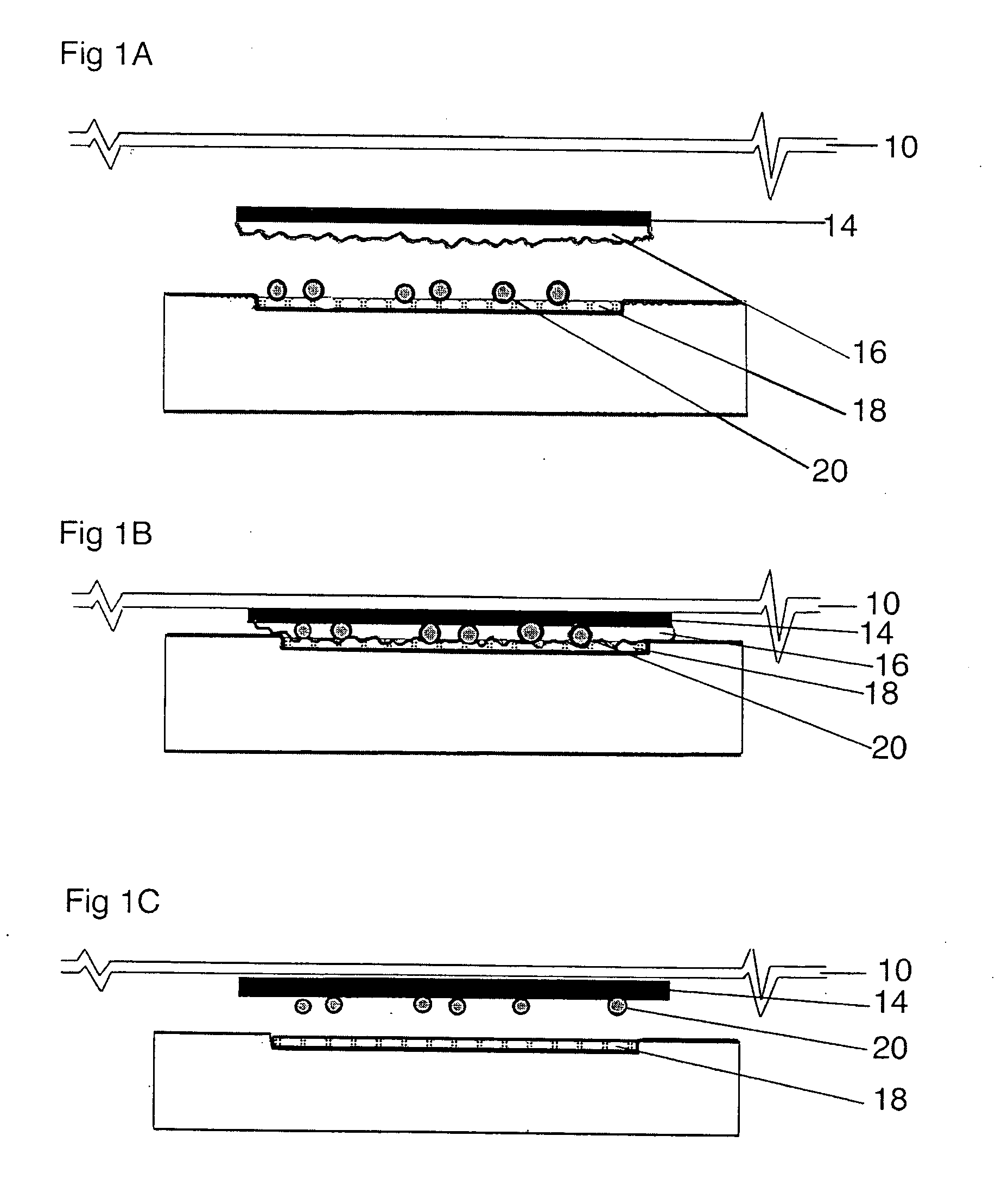 Wound dressing with a bacterial adsorbing composition and moisture holding system