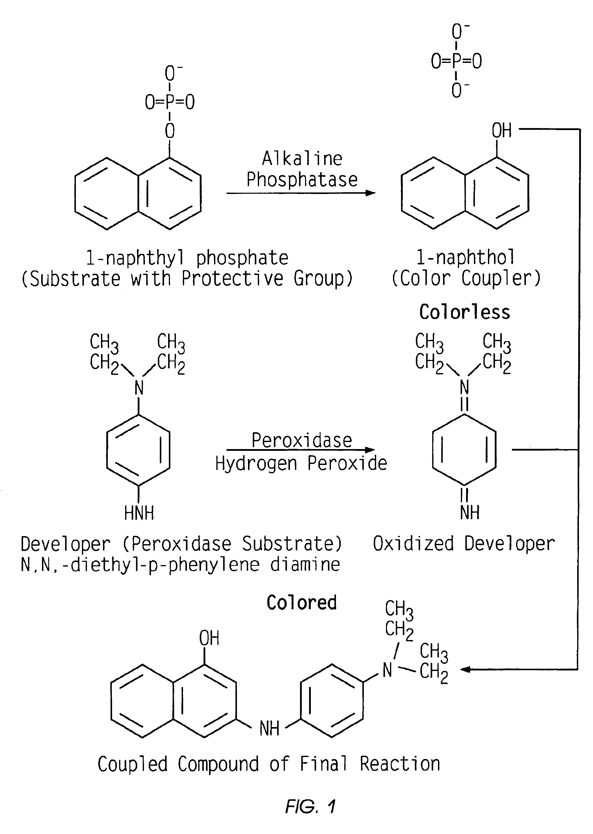 Ligand based solution assay for low concentration analytes