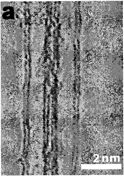 Method for preparing pH-responsive carbon nanotube fluorescent probe