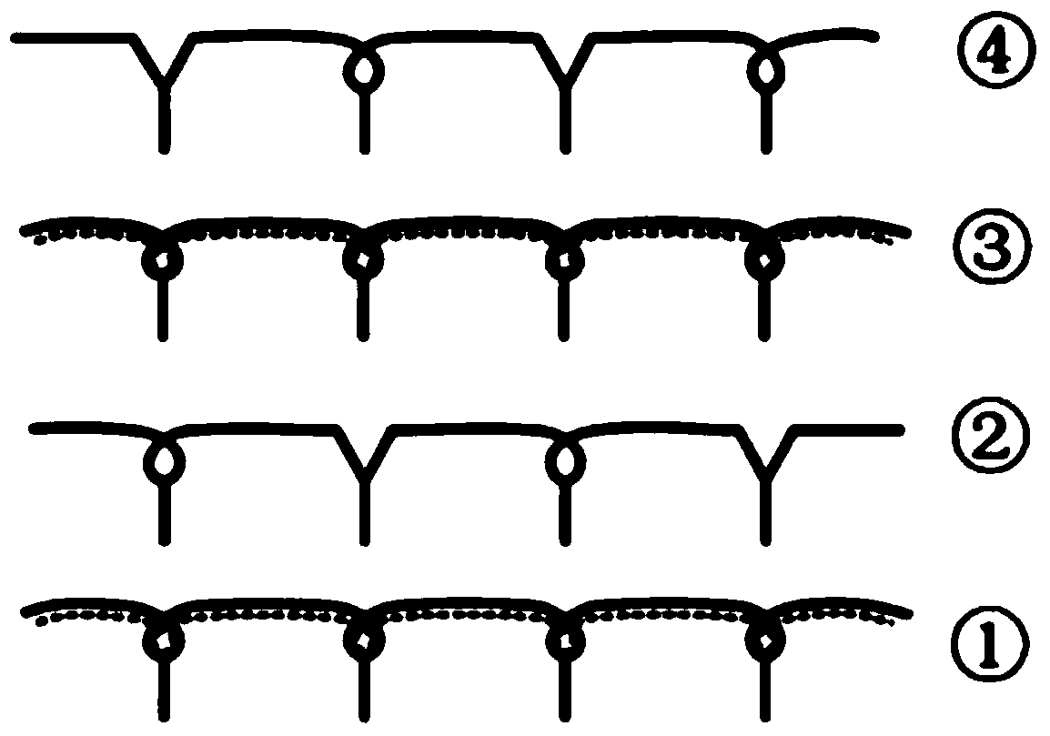 Antibacterial, safe, moisture absorbing and quick-drying fabric and production method thereof