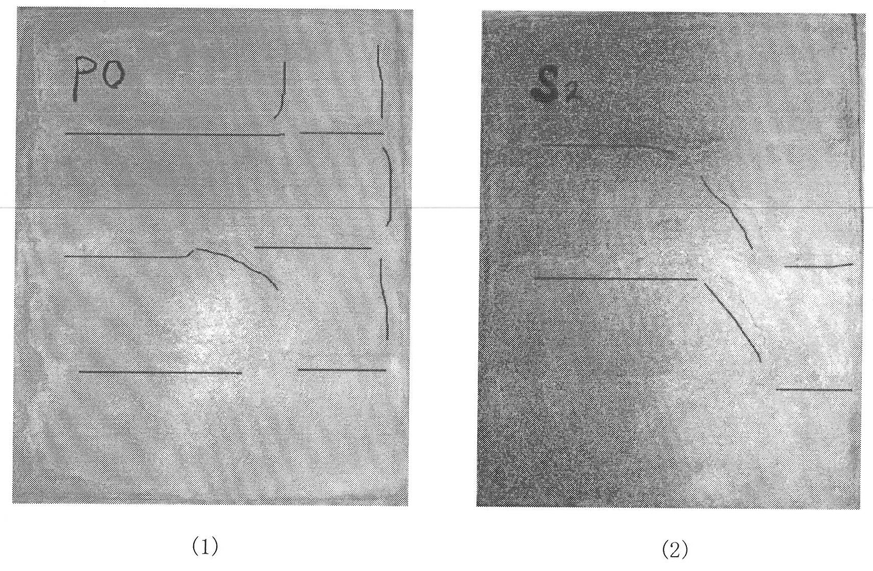 Internal curing process for improving performance of high strength and slight expansion concrete