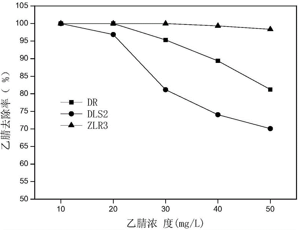 Shewanella putrefaciens capable of effectively degrading acetonitrile and application of Shewanella putrefaciens