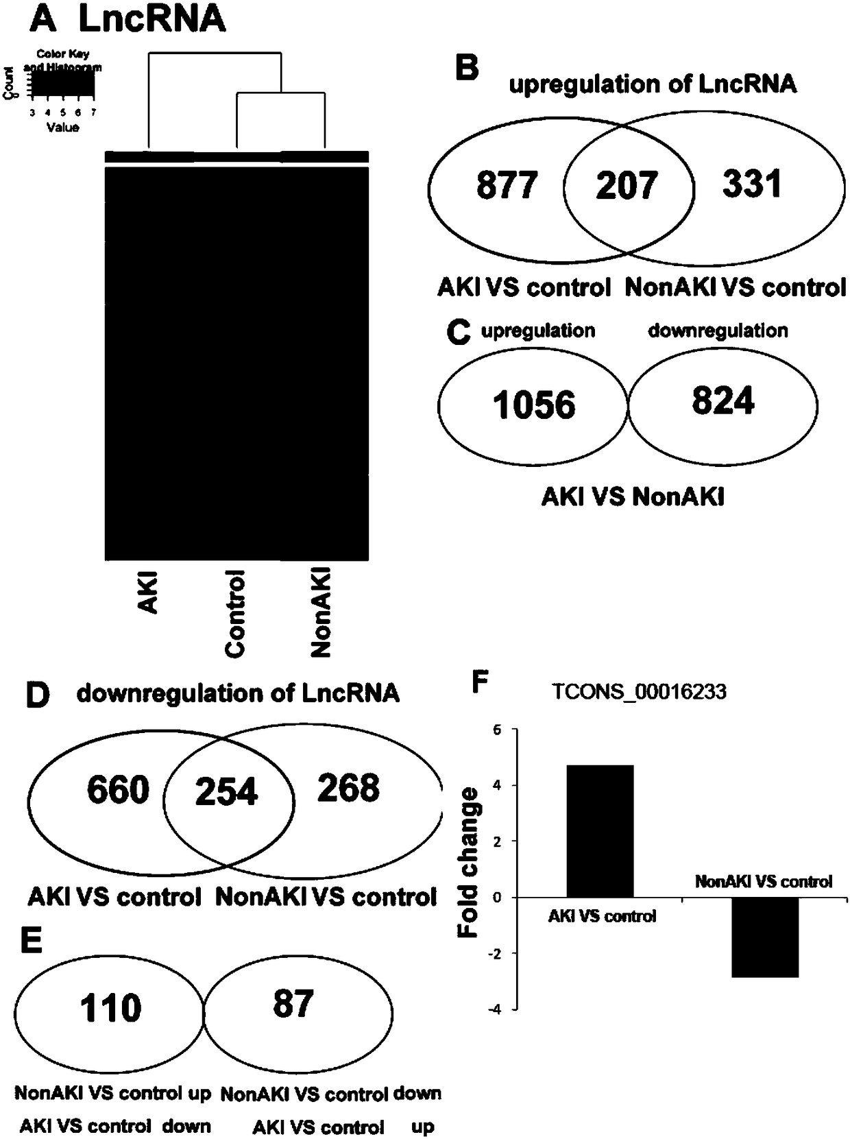 Molecular marker tcons_00016233, kit and application