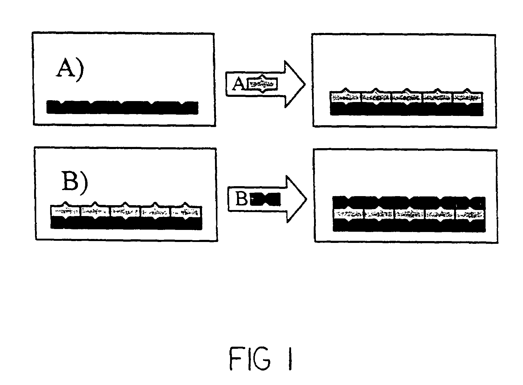 Catalytic nanoporous membranes