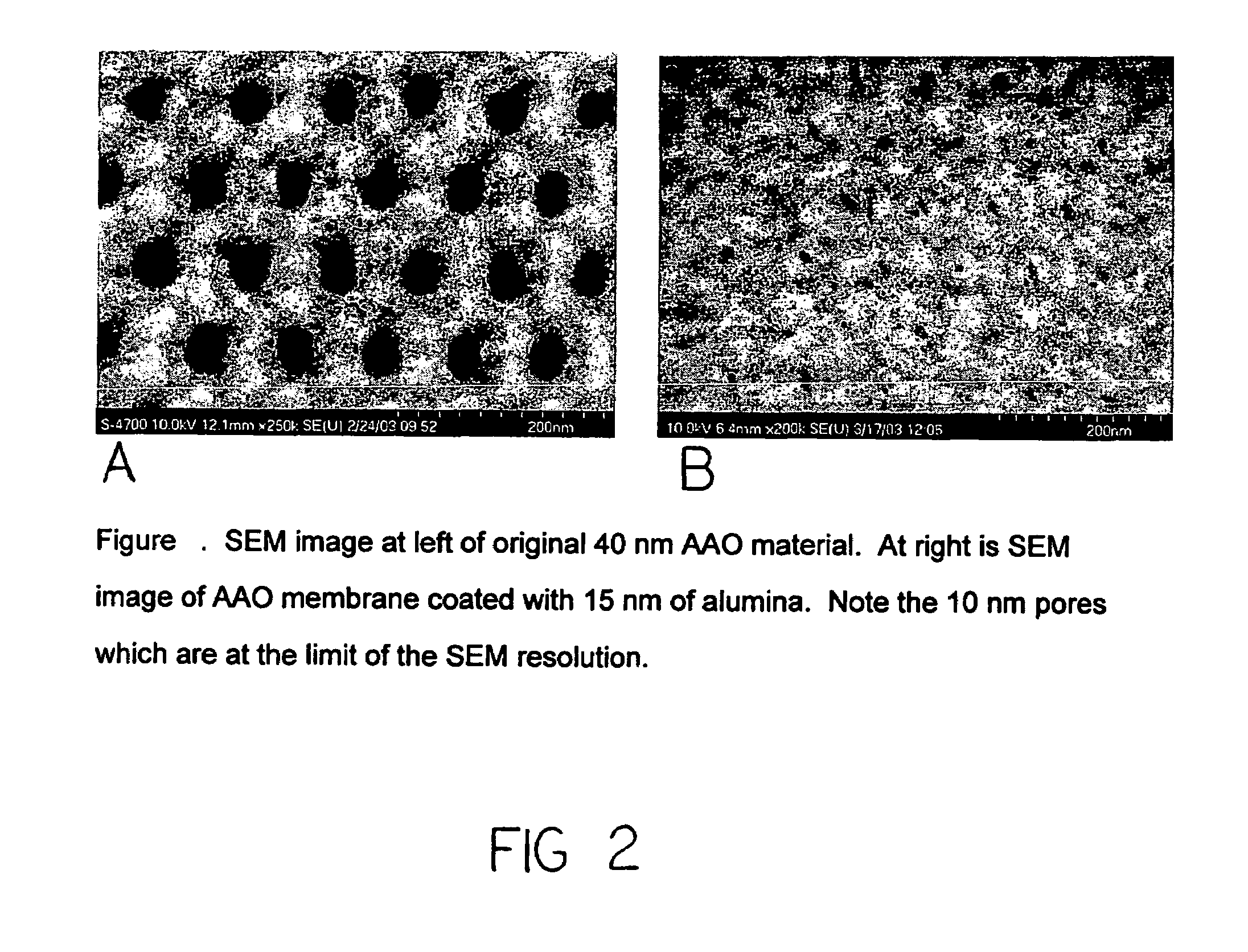 Catalytic nanoporous membranes