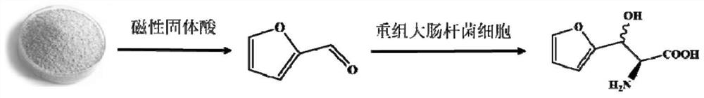 A kind of method that biomass chemical-enzymatic method prepares L-furanserine