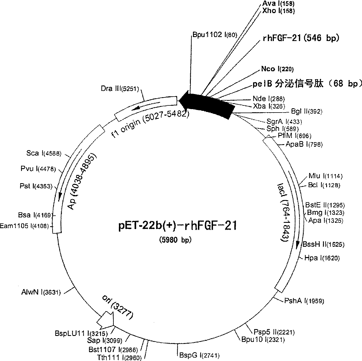 Method for producing secretion expression recombinant human fibroblast growth factor-21