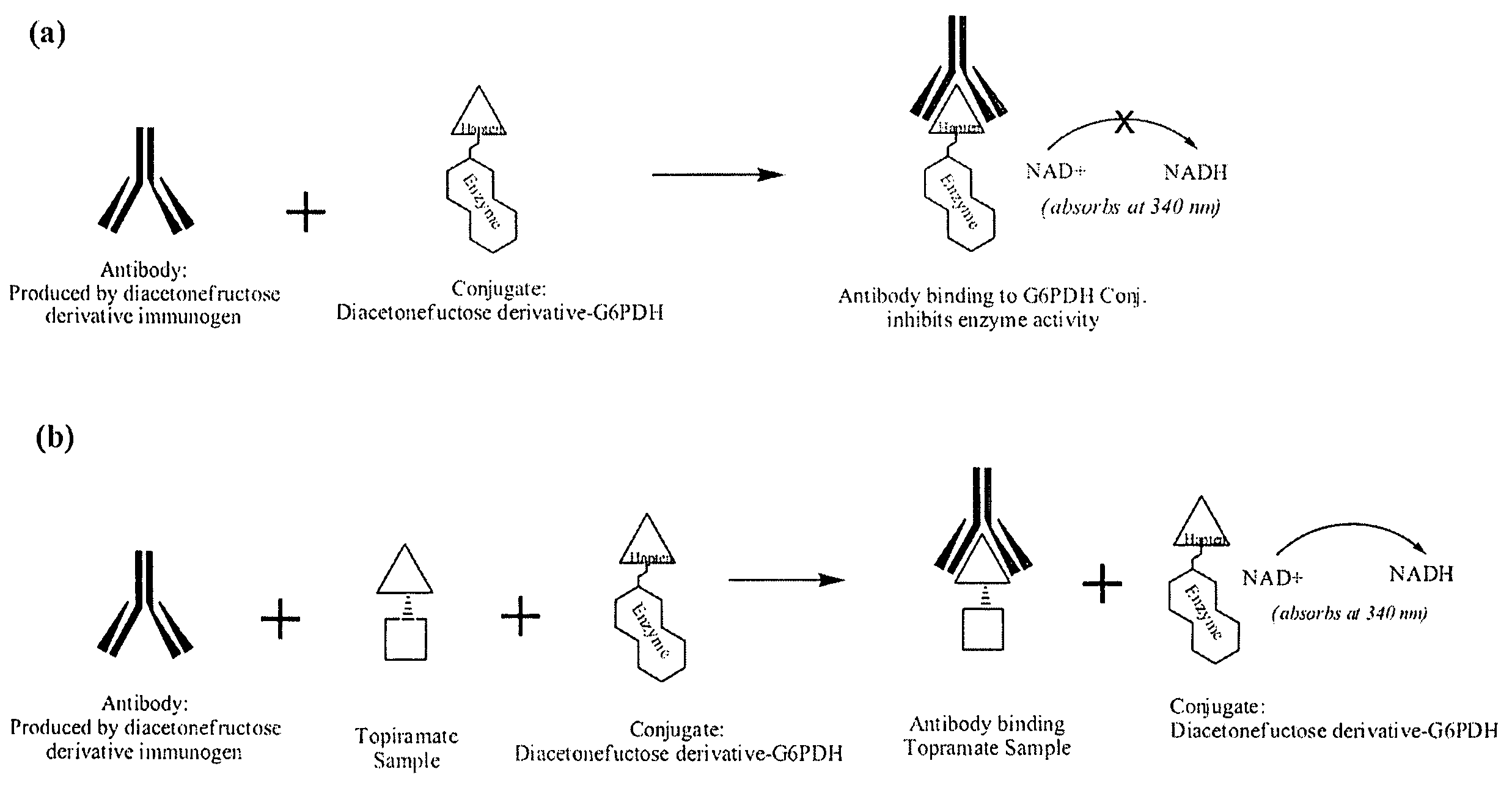 Topiramate Immunoassays