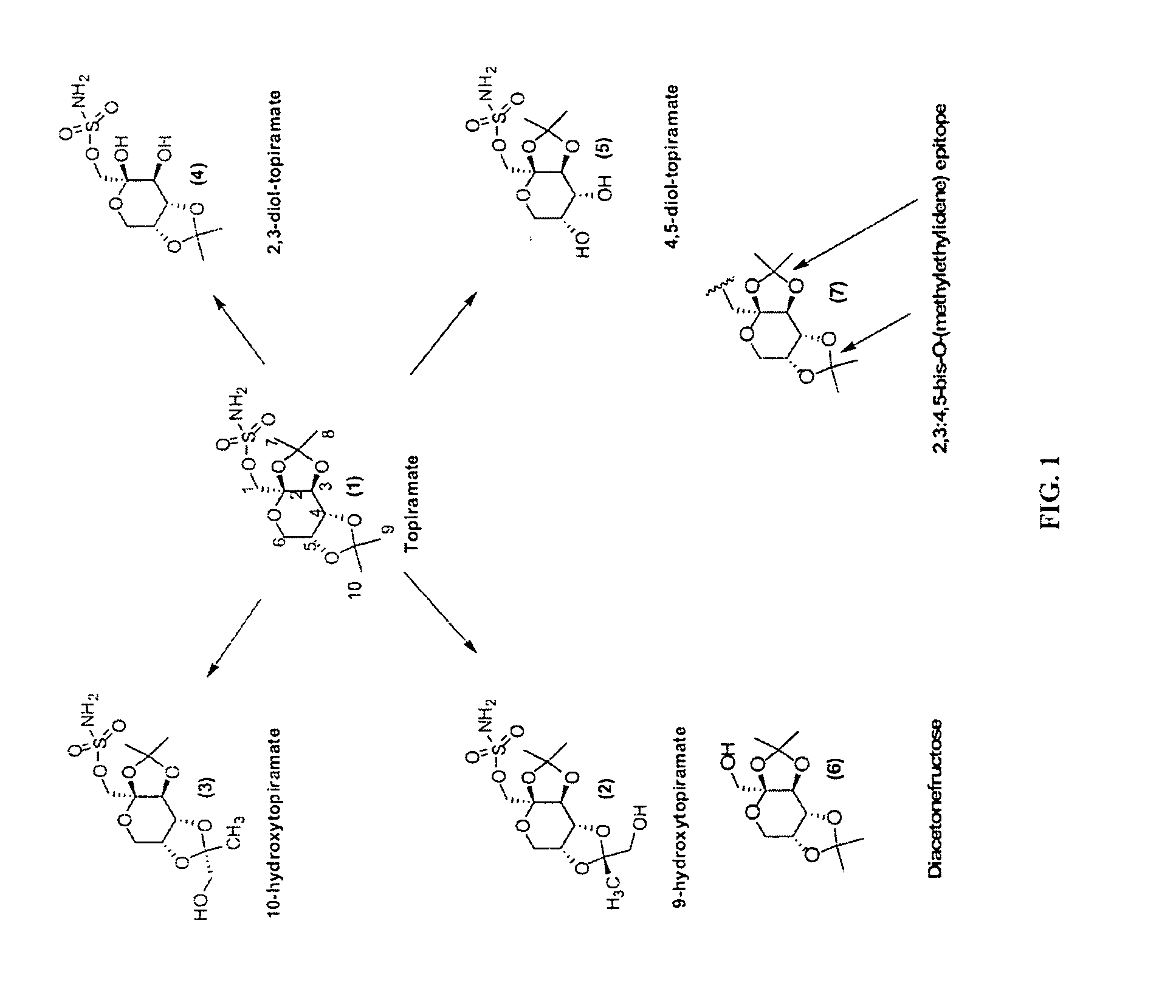 Topiramate Immunoassays