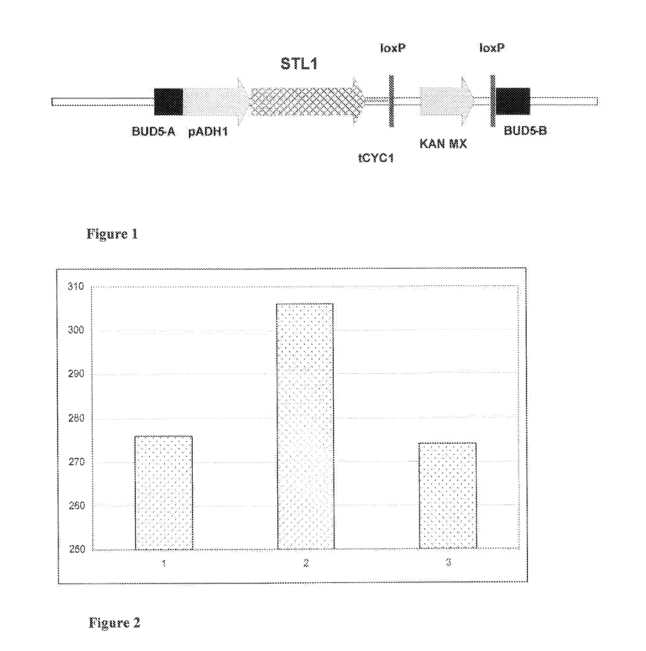 Use of a carbonaceous substitute for the production of yeast