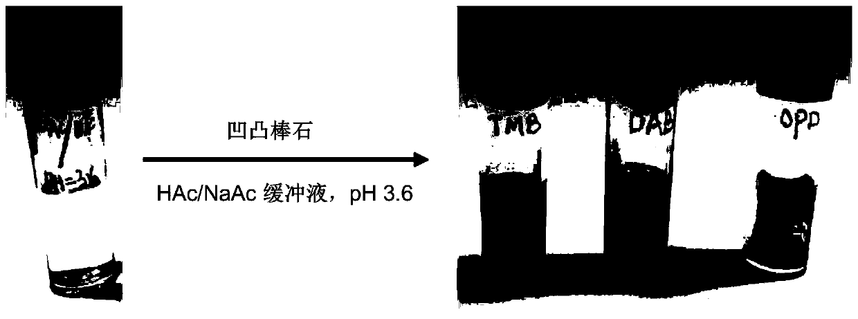 Application of natural attapulgite as natural nano mineral enzyme