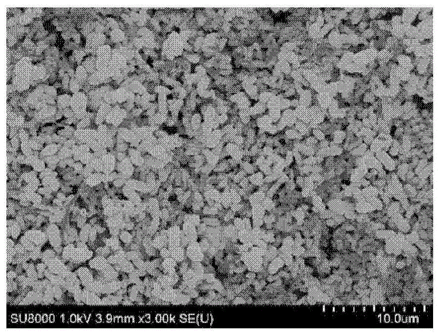 Method for in-situ synthesis of three-dimensional nanometer palladium catalyst layer through electrode activity biological membrane and application