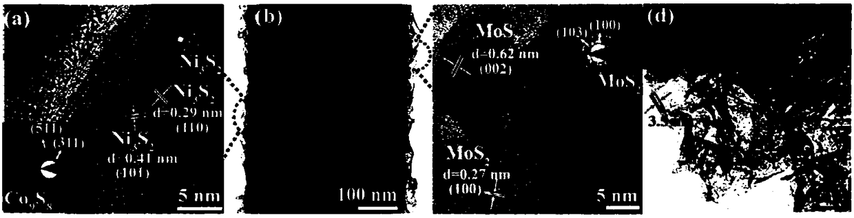 Nano-rod array composite material as well as preparation method and application thereof