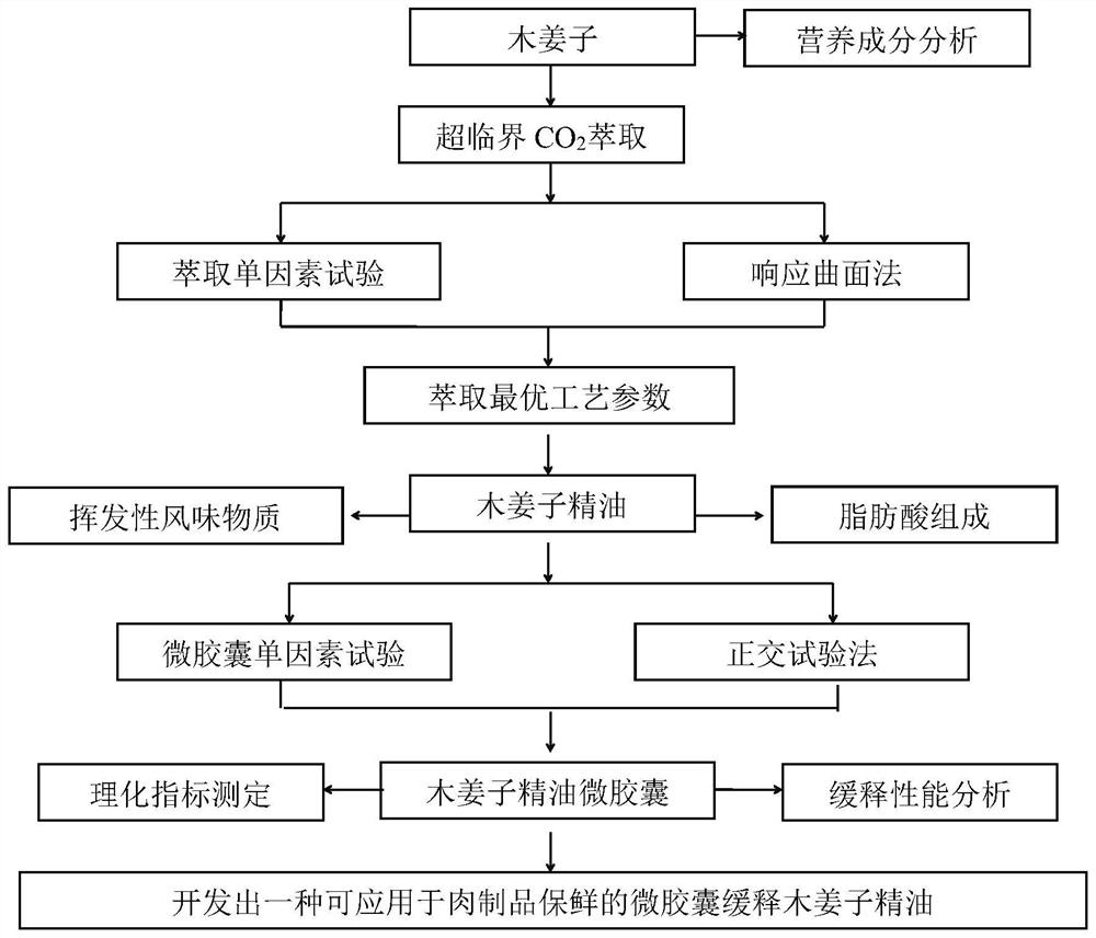 Microcapsule slow-release pungent litse fruit essential oil capable of being applied to fresh keeping of meat products