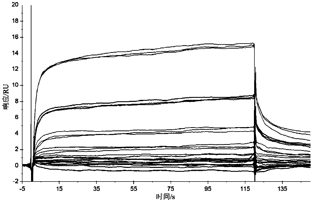 Polypeptide capable of targeting triple-negative breast cancer cells, and application thereof