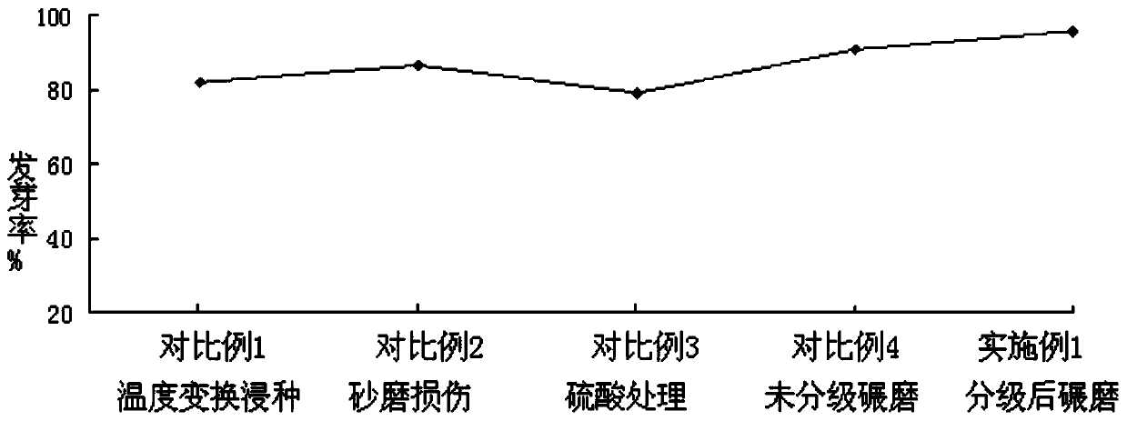 Astragalus membranaceus seed mechanical skin-breaking treatment method adopting preliminary classification