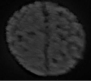 A defect identification method for magneto-optical eddy current imaging detection