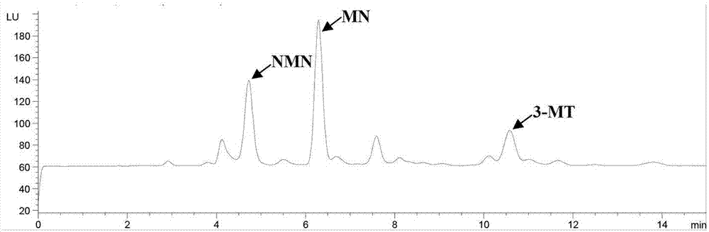 Pheochromocytoma diagnostic kit and using method thereof