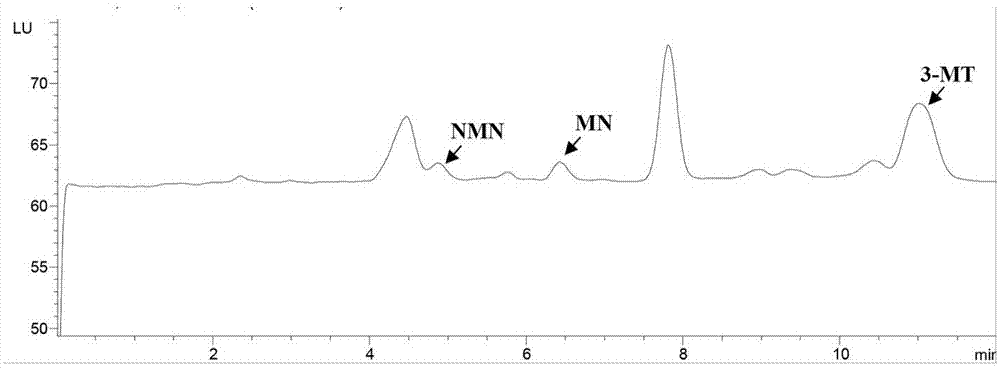 Pheochromocytoma diagnostic kit and using method thereof