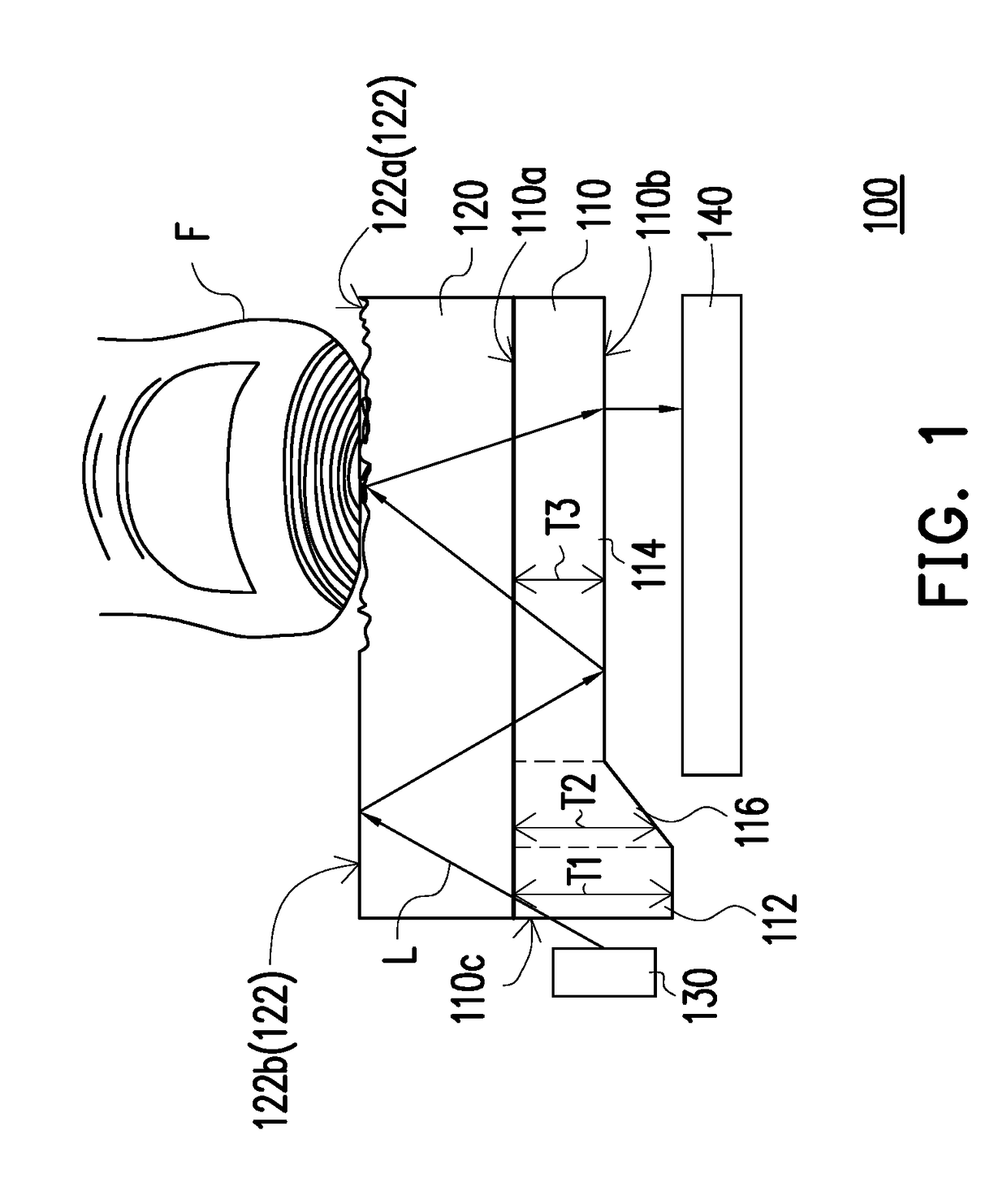 Fingerprint identification apparatus