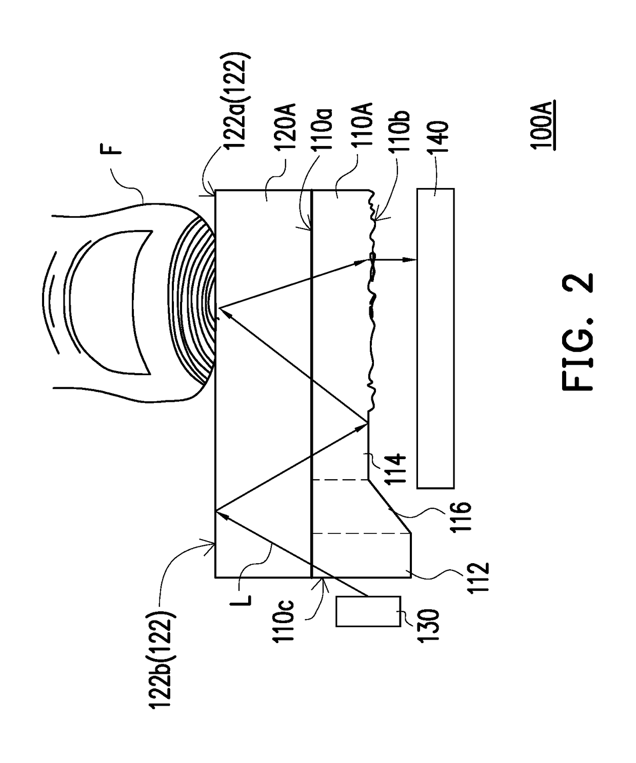 Fingerprint identification apparatus