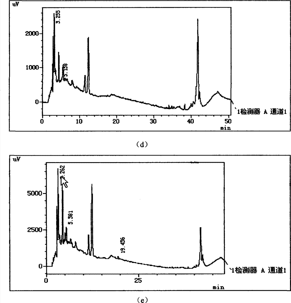 Method for preparing instant buckwheat tea