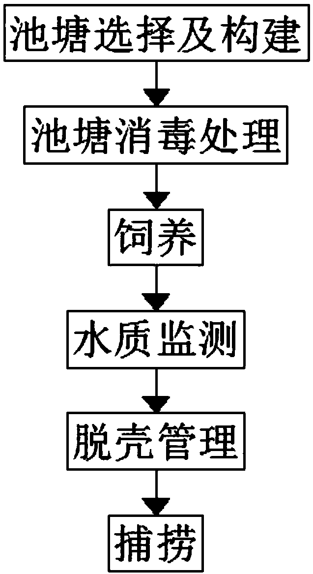 Method for breeding crays