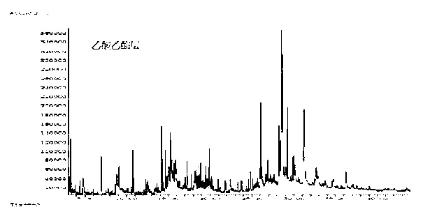 Cyrtomium fortunei extract and preparation method and application thereof