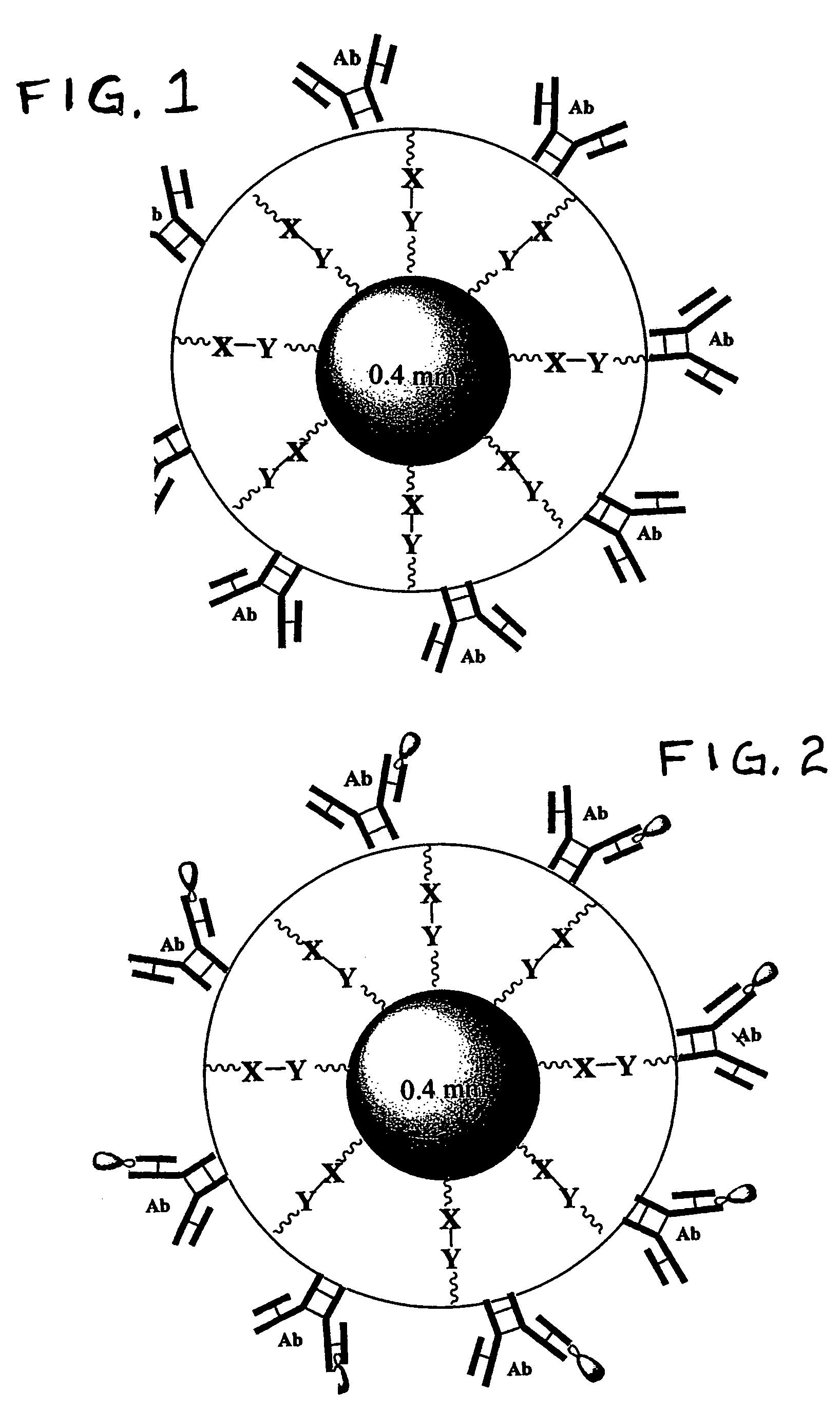 Beads for capturing target cells from bodily fluid