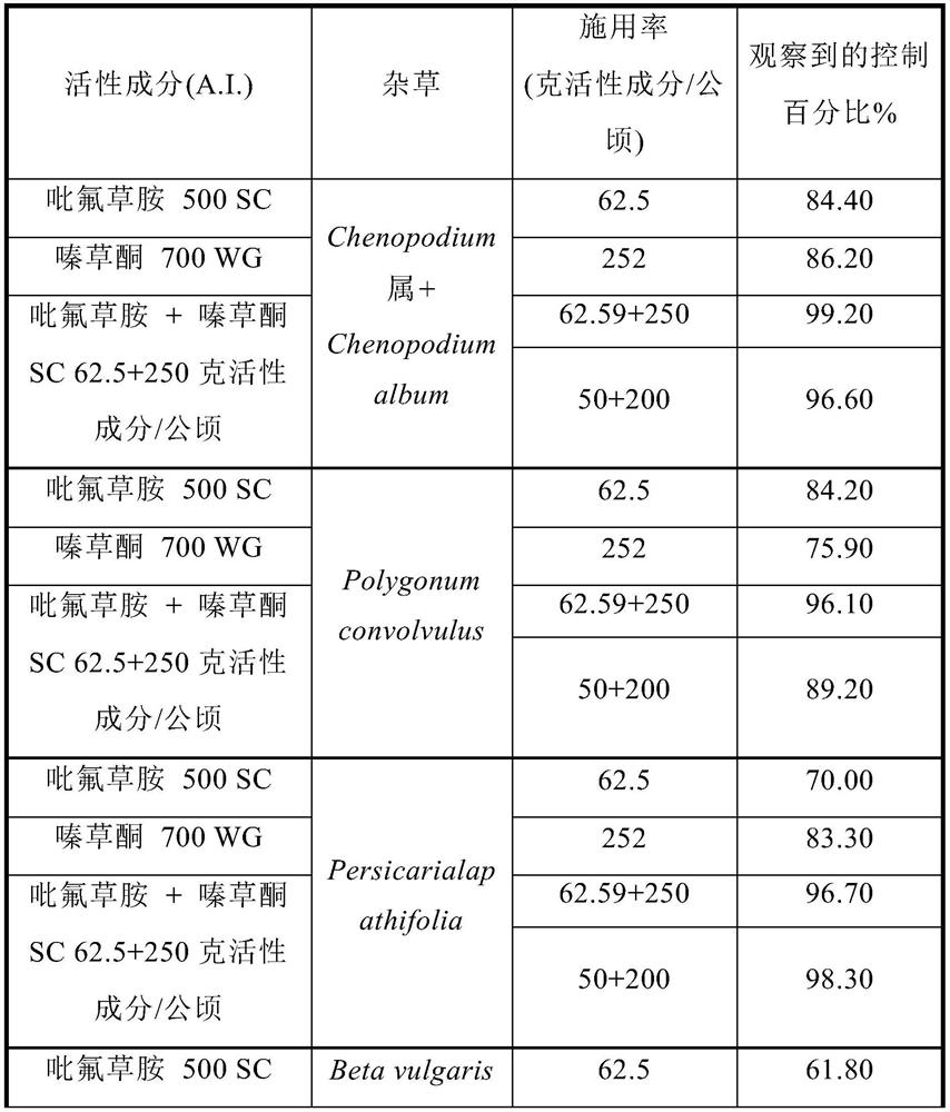 Method of controlling or preventing unwanted plants in potato crops