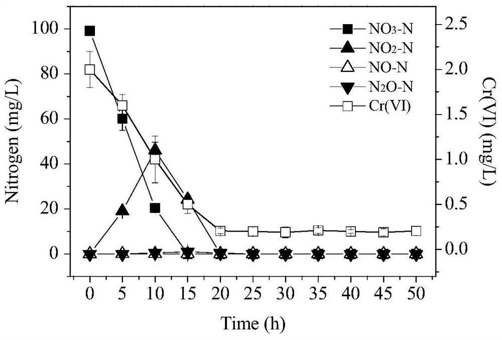 Achromobacter strain with hexavalent chromium removal and aerobic denitrification performance and its application