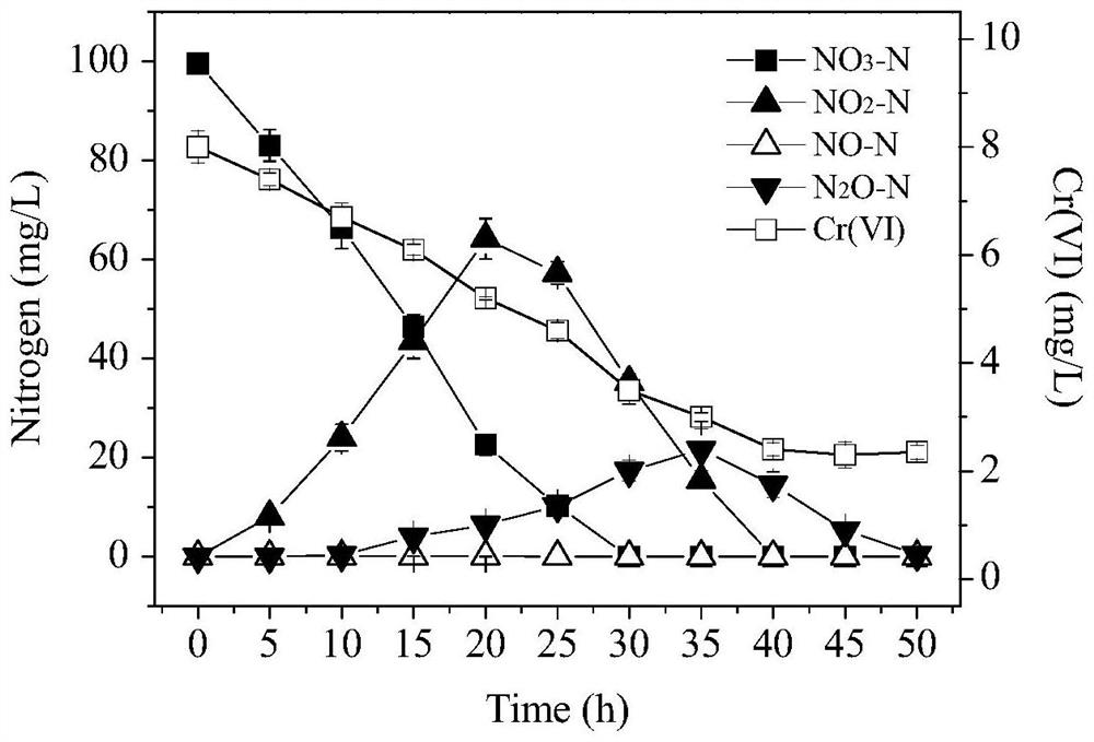 Achromobacter strain with hexavalent chromium removal and aerobic denitrification performance and its application