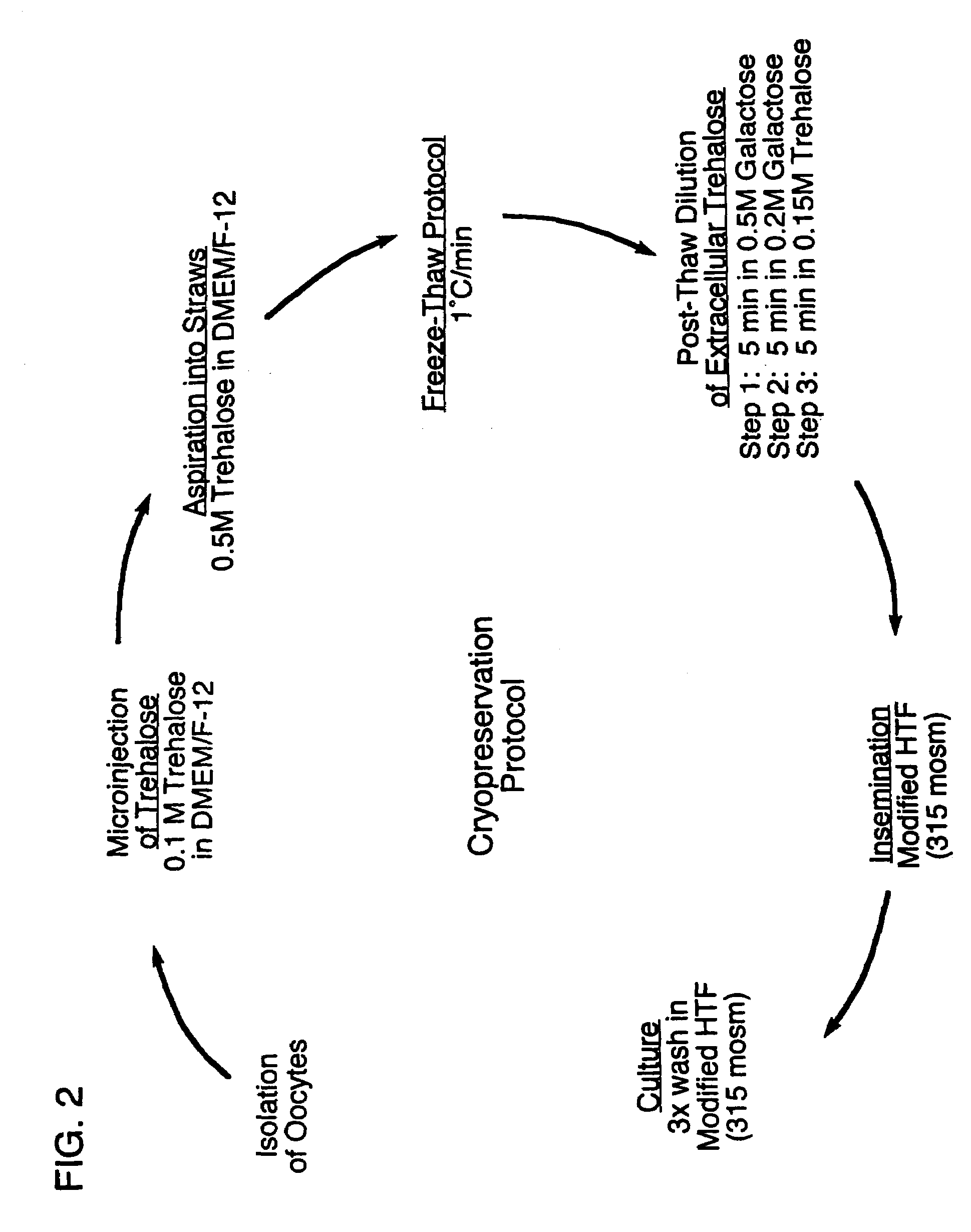 Microinjection of cryoprotectants for preservation of cells