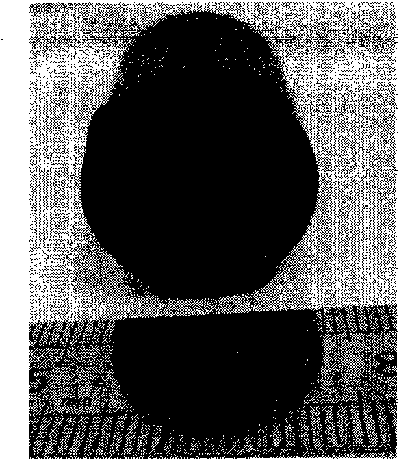 Graphene-based porous macroscopic carbon material and preparation method thereof