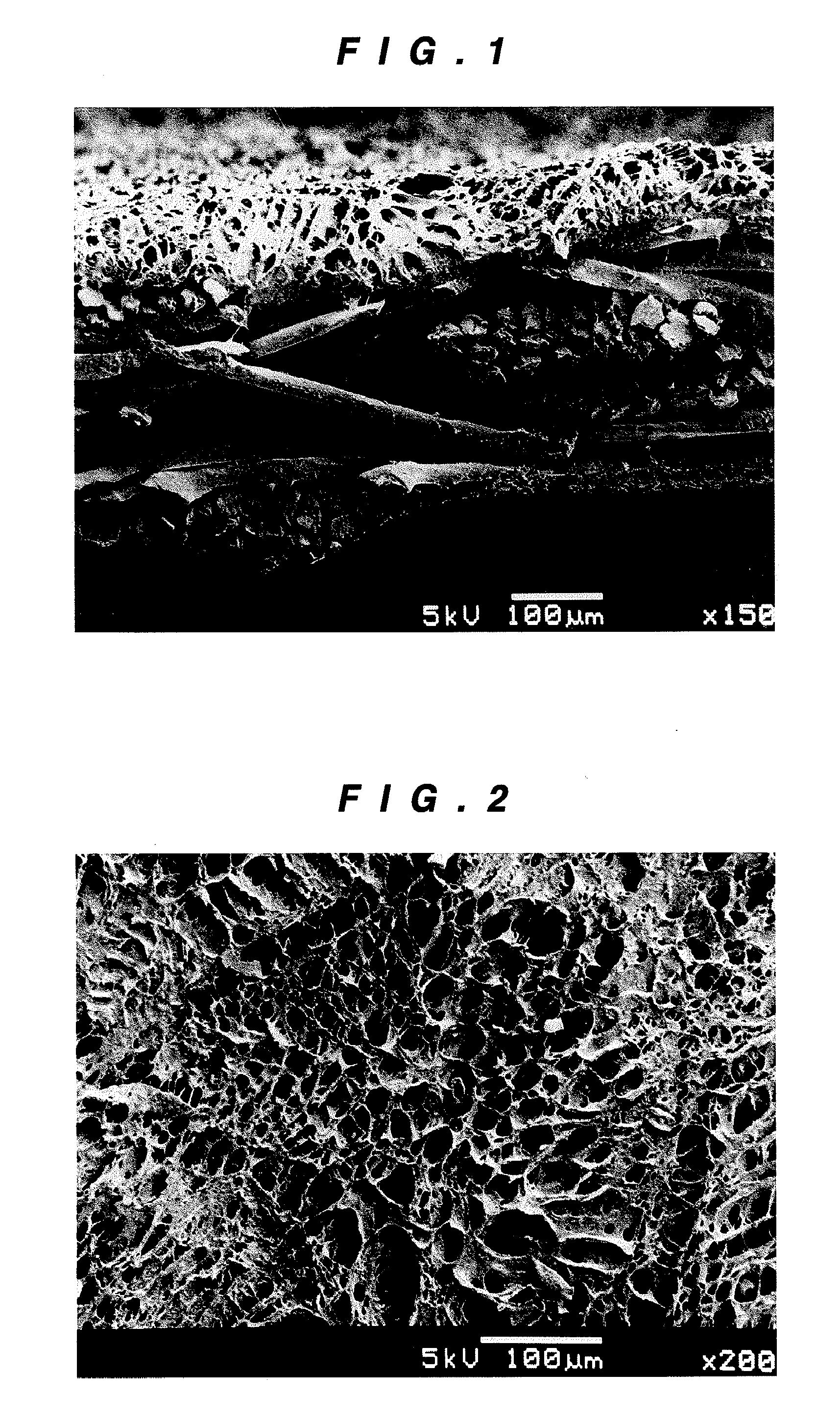 Culture of cardiovascular cells on a matrix and method for regenerating cardiovascular tissue