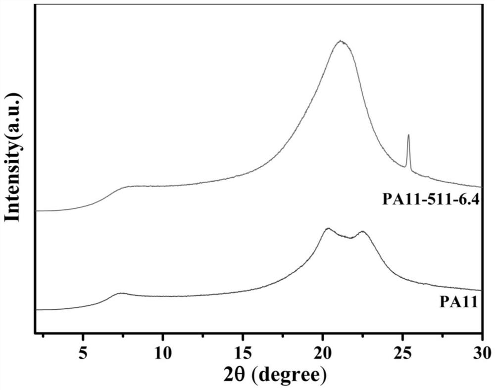 Copolymerized polyamide capable of producing ferroelectric nylon film by simple thermal processing and preparation method thereof